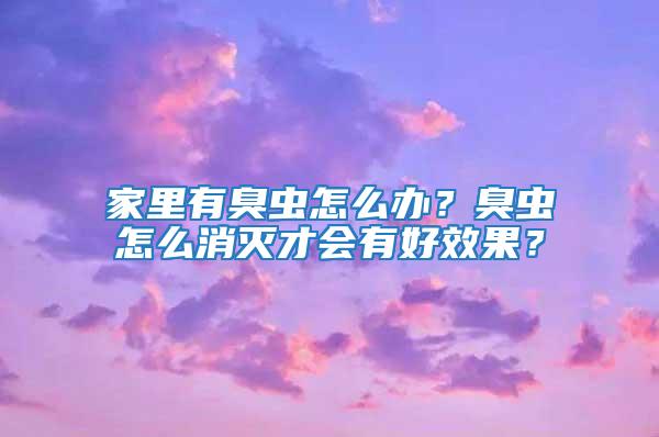 家里有臭蟲怎么辦？臭蟲怎么消滅才會有好效果？