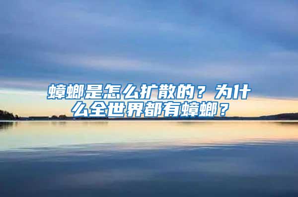 蟑螂是怎么擴散的？為什么全世界都有蟑螂？