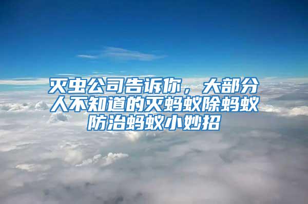 滅蟲公司告訴你，大部分人不知道的滅螞蟻除螞蟻防治螞蟻小妙招