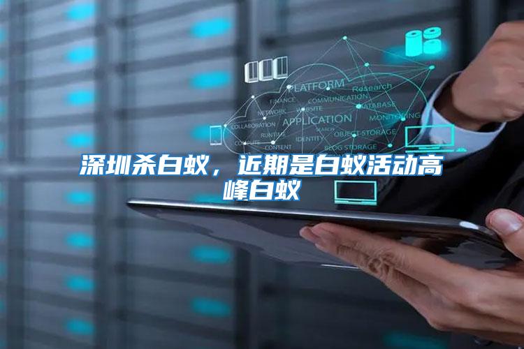 深圳殺白蟻，近期是白蟻活動高峰白蟻