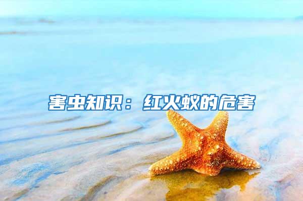 害蟲知識(shí)：紅火蟻的危害