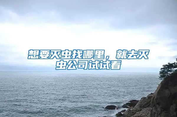 想要滅蟲找哪里，就去滅蟲公司試試看