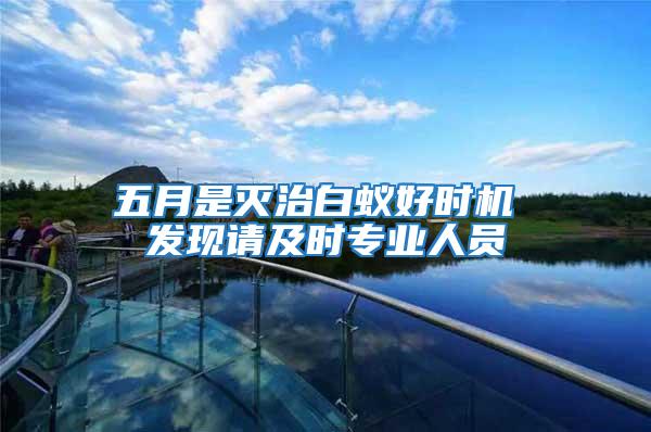 五月是滅治白蟻好時(shí)機(jī) 發(fā)現(xiàn)請(qǐng)及時(shí)專業(yè)人員