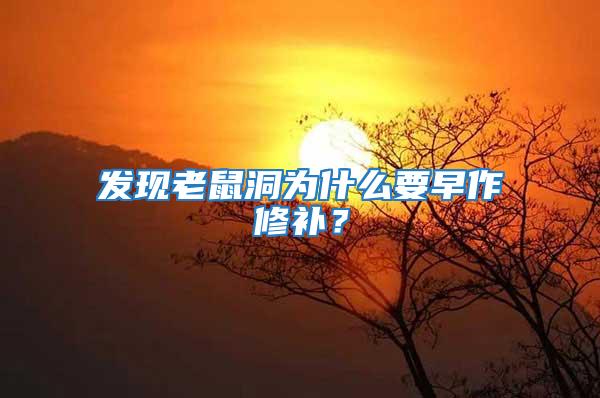 發(fā)現(xiàn)老鼠洞為什么要早作修補？