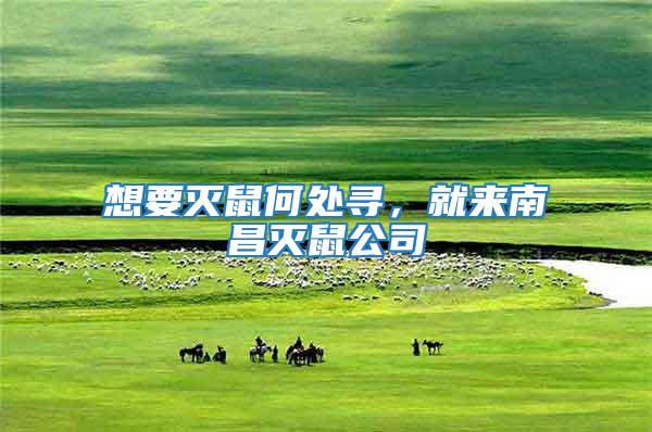 想要滅鼠何處尋，就來(lái)南昌滅鼠公司