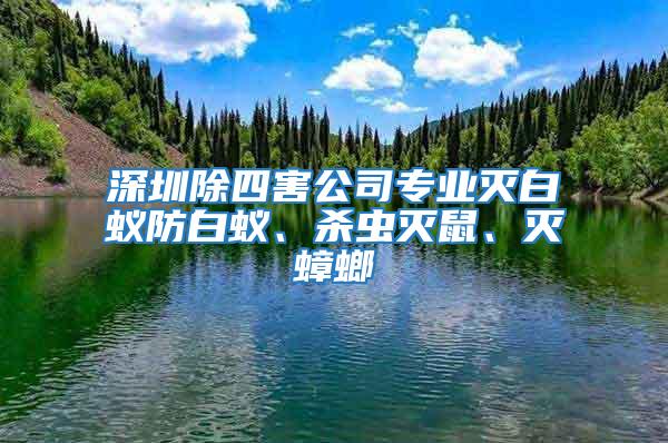 深圳除四害公司專業(yè)滅白蟻防白蟻、殺蟲滅鼠、滅蟑螂