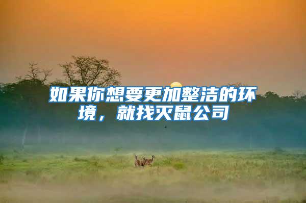 如果你想要更加整潔的環境，就找滅鼠公司