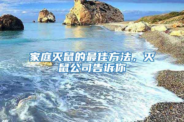家庭滅鼠的最佳方法，滅鼠公司告訴你