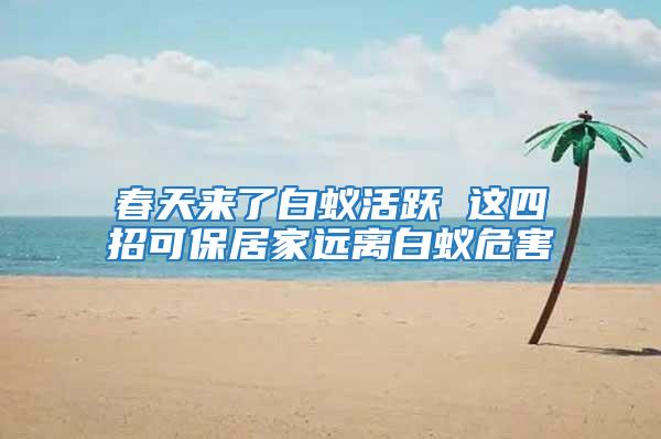 春天來了白蟻活躍 這四招可保居家遠(yuǎn)離白蟻危害