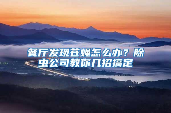 餐廳發(fā)現(xiàn)蒼蠅怎么辦？除蟲(chóng)公司教你幾招搞定