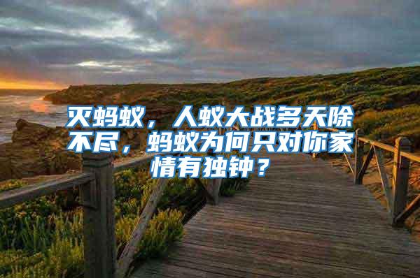 滅螞蟻，人蟻大戰多天除不盡，螞蟻為何只對你家情有獨鐘？