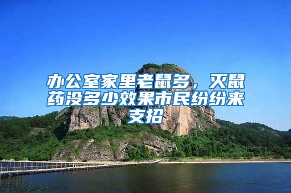 辦公室家里老鼠多，滅鼠藥沒多少效果市民紛紛來支招