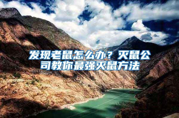 發現老鼠怎么辦？滅鼠公司教你最強滅鼠方法