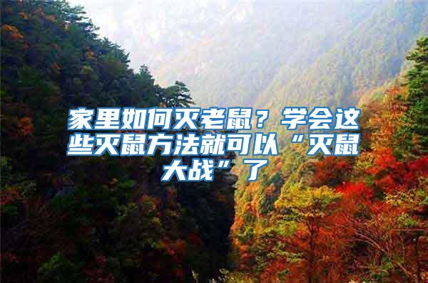 家里如何滅老鼠？學會這些滅鼠方法就可以“滅鼠大戰”了