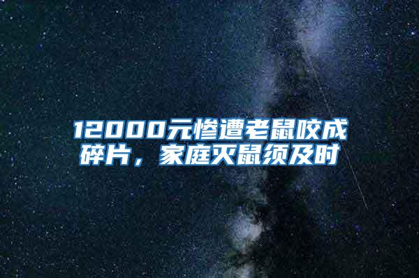 12000元慘遭老鼠咬成碎片，家庭滅鼠須及時(shí)