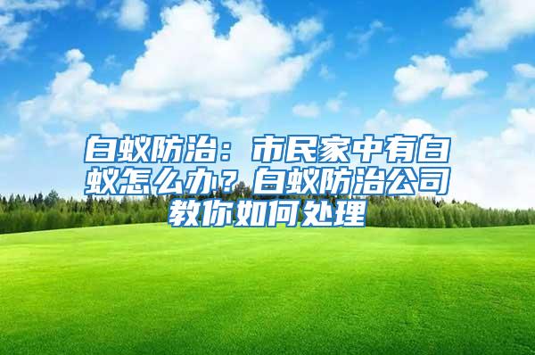 白蟻防治：市民家中有白蟻怎么辦？白蟻防治公司教你如何處理