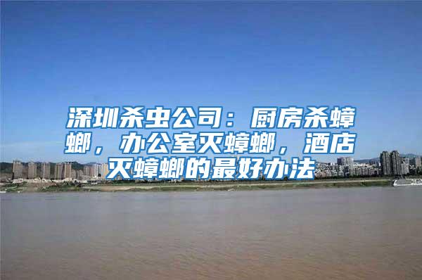 深圳殺蟲公司：廚房殺蟑螂，辦公室滅蟑螂，酒店滅蟑螂的最好辦法