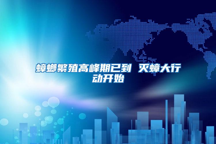 蟑螂繁殖高峰期已到 滅蟑大行動(dòng)開始
