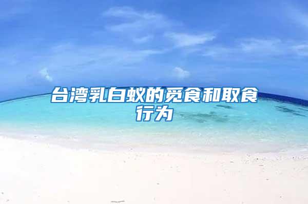 臺(tái)灣乳白蟻的覓食和取食行為