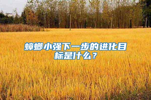 蟑螂小強(qiáng)下一步的進(jìn)化目標(biāo)是什么？