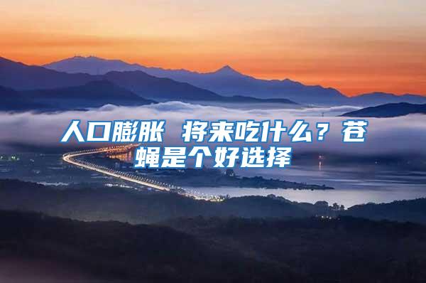 人口膨脹 將來(lái)吃什么？蒼蠅是個(gè)好選擇