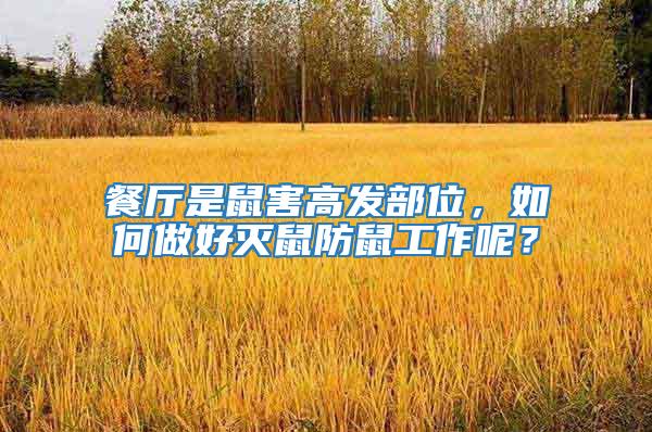 餐廳是鼠害高發(fā)部位，如何做好滅鼠防鼠工作呢？