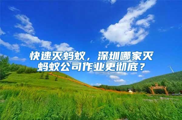 快速滅螞蟻，深圳哪家滅螞蟻公司作業更徹底？
