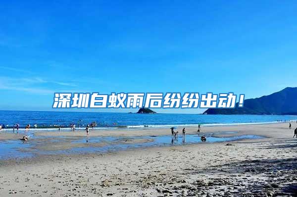 深圳白蟻雨后紛紛出動！