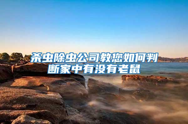 殺蟲除蟲公司教您如何判斷家中有沒(méi)有老鼠