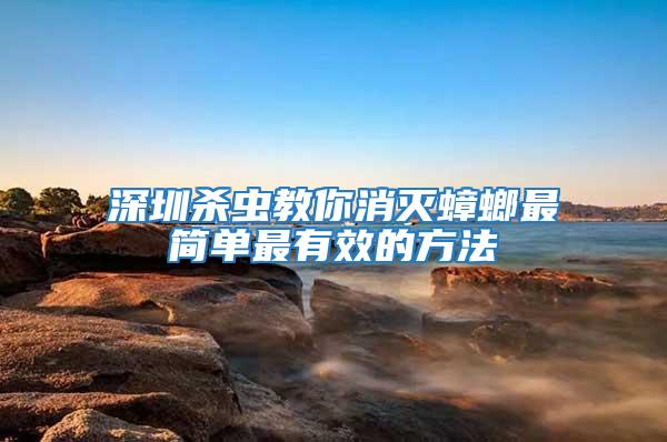 深圳殺蟲(chóng)教你消滅蟑螂最簡(jiǎn)單最有效的方法