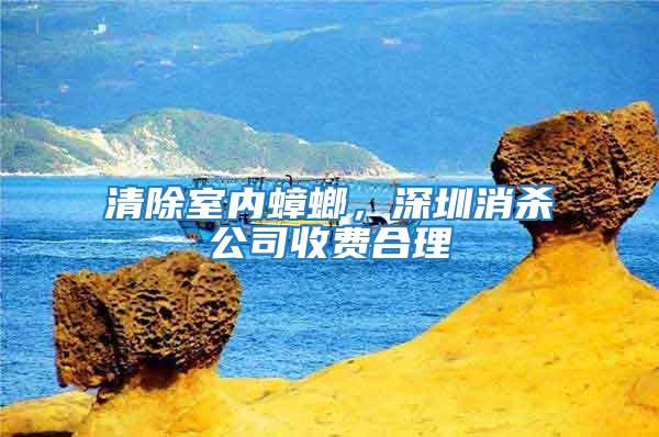 清除室內(nèi)蟑螂，深圳消殺公司收費合理