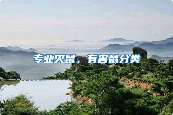 專業(yè)滅鼠，有害鼠分類