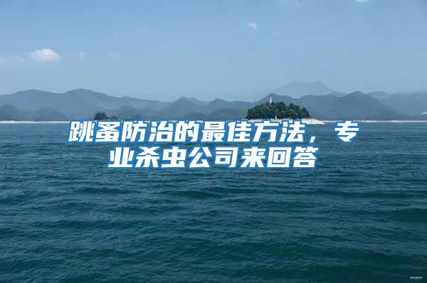 跳蚤防治的最佳方法，專業(yè)殺蟲公司來回答