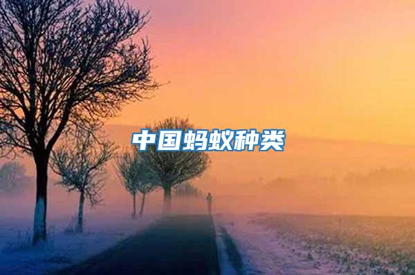 中國(guó)螞蟻種類(lèi)