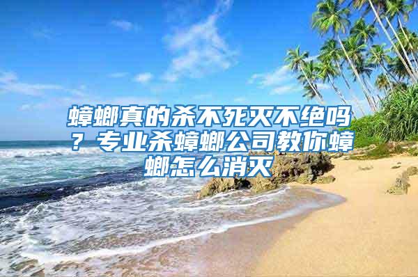 蟑螂真的殺不死滅不絕嗎？專業(yè)殺蟑螂公司教你蟑螂怎么消滅