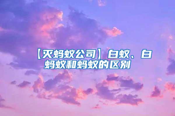 【滅螞蟻公司】白蟻、白螞蟻和螞蟻的區(qū)別
