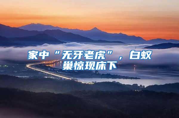 家中“無牙老虎”，白蟻巢驚現(xiàn)床下