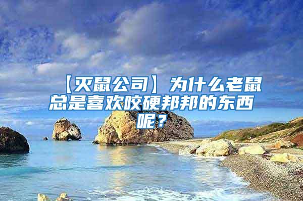 【滅鼠公司】為什么老鼠總是喜歡咬硬邦邦的東西呢？