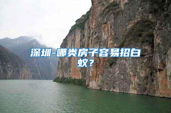 深圳-哪類房子容易招白蟻？