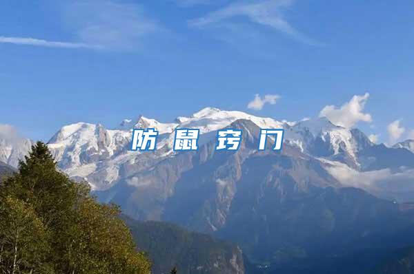 防 鼠 竅 門(mén)