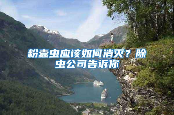 粉蠹蟲應(yīng)該如何消滅？除蟲公司告訴你