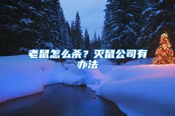 老鼠怎么殺？滅鼠公司有辦法