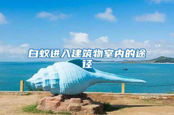 白蟻進入建筑物室內(nèi)的途徑