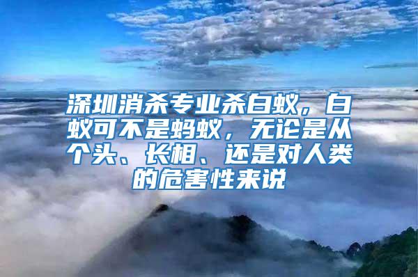 深圳消殺專業殺白蟻，白蟻可不是螞蟻，無論是從個頭、長相、還是對人類的危害性來說