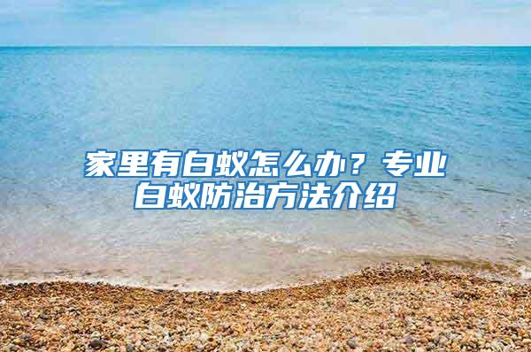 家里有白蟻怎么辦？專業白蟻防治方法介紹