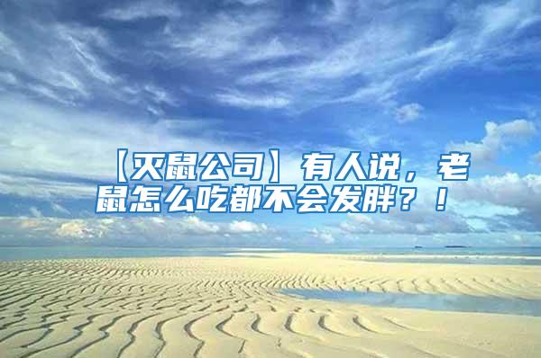 【滅鼠公司】有人說，老鼠怎么吃都不會發(fā)胖？！
