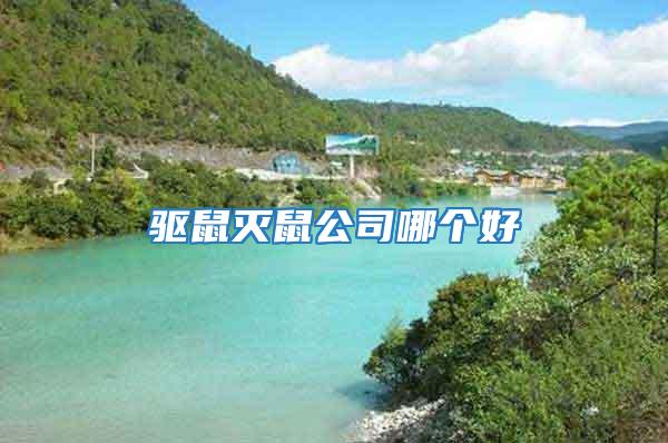 驅(qū)鼠滅鼠公司哪個好