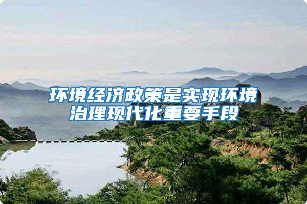 環(huán)境經(jīng)濟政策是實現(xiàn)環(huán)境治理現(xiàn)代化重要手段