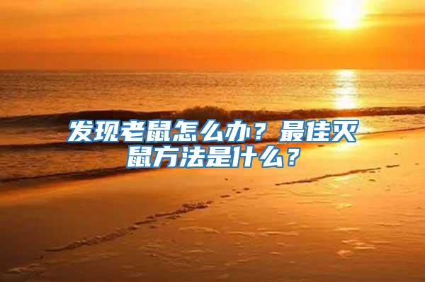 發現老鼠怎么辦？最佳滅鼠方法是什么？
