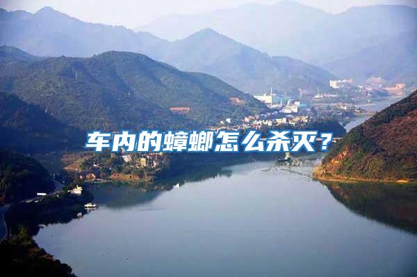 車內(nèi)的蟑螂怎么殺滅？